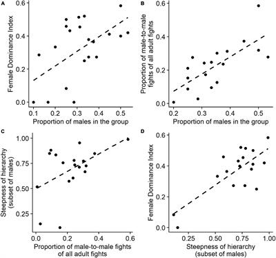 Male intrasexual aggression and partial dominance of females over males in vervet monkeys